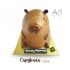 CAPYBARA.BC-1